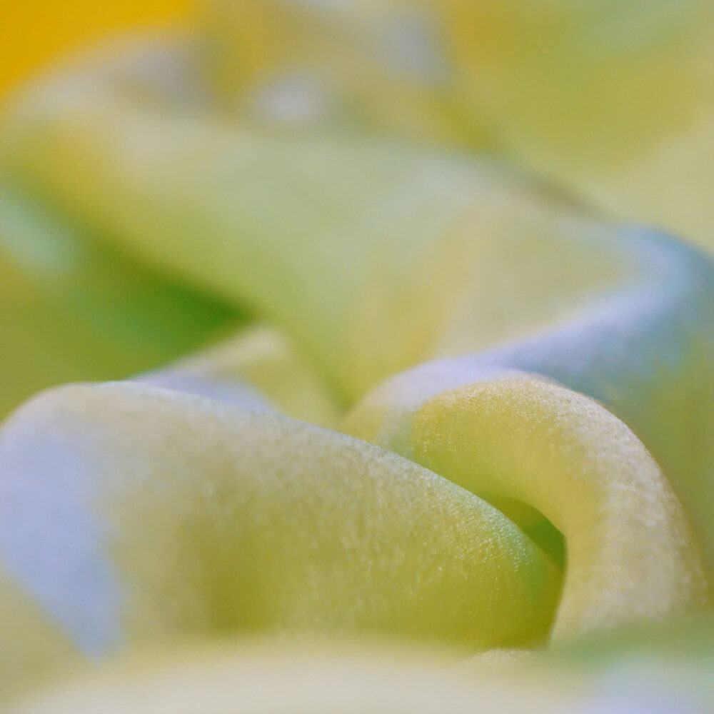 Silk Scarf Swamp-Yellow