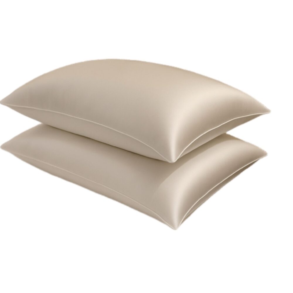 Classic Silk Pillow