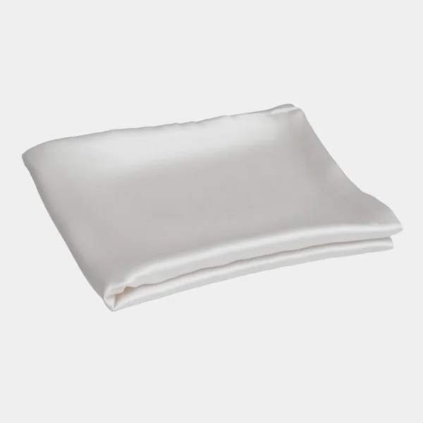 The Silk Hair Towel