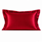 Ruby Red 19 Momme Mulberry Silk Oxford Pillowcase