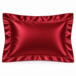 Ruby Red 19 Momme Oxford silk pillowcase