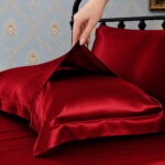 Ruby Red 19 Momme Mulberry Silk Oxford Pillowcase