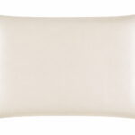 Luxury Charmeuse Silk Pillowcase 22 Momme