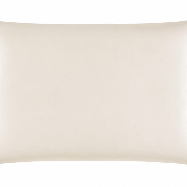 Luxury Charmeuse Silk Pillowcase 22 Momme