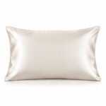 Pearl White 22 Momme silk pillowcase with hidden zipper